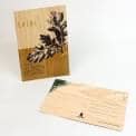 CARTES POSTALES LES ESSENCES DE BOIS, set di 3 carte di legno, faggio, quercia e acero, eco-design
