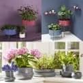 Flower pots PIDESTALL in steel and HINKEN in ceramic, modern and fun
